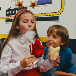 Дегустация морозных угощений